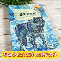 老师推荐狼王梦沈石溪全集正版沈石溪动物小说系列完整版三四五六年级小学生课外阅读8-12-14岁儿童文学故事书少年儿童出版