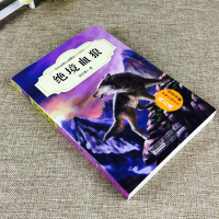 绝境血狼升级版(第二辑) 中外动物小说精品 沈石溪 动物故事大王沈石溪书9-12-15岁儿童小说动物故事书 三四五六年级