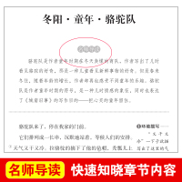 城南旧事正版原著林海音完整版四年级五年级七年级五六年级上册下册必读课外书阅读出版社中国青年人民文学宋妈没有来前传南城往事
