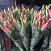 9.9鲜花云南直发昆明基地玫瑰花束香水百合插花家用水养切花