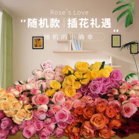 顺丰鲜花云南基地直批发红玫瑰包月家用水养插送花束速递同城