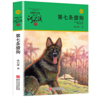 新版 第七条猎狗 沈石溪动物小说品藏书系 青少年课外启发读物教辅 7-9-10-12-15岁中国儿童文学少儿童话故事小学
