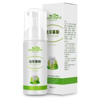 【按压式泡沫洗牙粉】洁牙慕斯牙膏美白牙齿清新口气脱色剂牙泡白 1瓶【薄荷味】