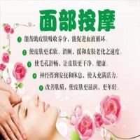 中医美容院美容美体海报养生馆图展板宣传画订制面部按摩写真 pp胶 12寸