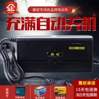 电动车电瓶电池修复器激活48V60V72V电瓶电池修复充电器脉冲修复 老款腾凌断电48v12Ah