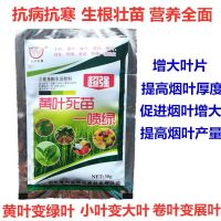 烟叶瓜果蔬菜叶面肥一喷绿叶片增大增厚品质高易微量元素氨基酸 30克(10袋)