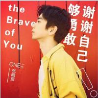 谢谢自己够勇敢 张皓宸/杨杨全能量新作 青春文学小说 书