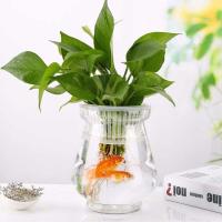 特价清仓水培绿萝花盆透明鱼缸玻璃花盆特大号室内富贵竹陶瓷批发 随机款式1个 送[彩石-营养液-水晶泥]