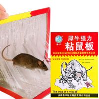 买就送饵料 老鼠贴强力粘鼠板 老鼠夹子捕鼠器家用粘鼠贴捕鼠神器 强力捕鼠款 1张送1包诱鼠饵料