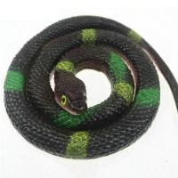 [90cm长]玩具蛇仿真创意软胶蛇橡胶蛇整人恶搞儿童玩具动物蛇 圆头蛇[黑色] 长度[75cm]