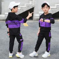男童秋装套装2020新款中大童春季儿童迷彩服运动卫衣两件套韩版潮 拼接套装--紫色 110码(身高95-105厘米)