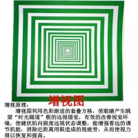 儿童视力训练图视力表近视弱视训练图眼肌训练运动增视图眼保健操 增视图[28.5X21cm]