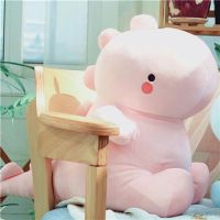 毛绒玩具少女心抱枕玩偶公仔女生布娃娃女孩可爱生日礼物网红Ins 粉色 30厘米