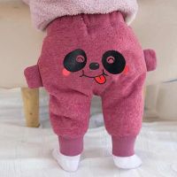 宝宝加绒哈伦裤婴儿大pp裤加厚棉裤冬季长裤子0外穿1男童2女童3岁 808枣红色(加绒加厚) 80码(建议60左右高)