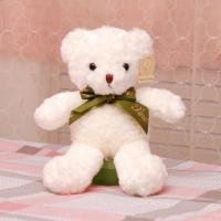 泰迪熊毛绒玩具可爱熊猫小号公仔抱抱熊布娃娃玩偶抱枕送女友礼物 拧花白色丝带款 28厘米(巴掌大小)不推荐