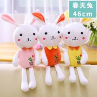 兔子毛绒玩具公仔兔兔抱枕布娃娃儿童玩具女玩偶新年生日礼物女生 春天兔-颜色随机 45cm