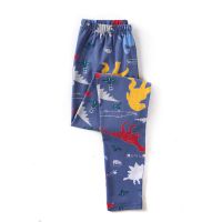 青少年男孩秋裤大童男学生打底裤初中学生薄款保暖裤春秋款衬裤 莱卡大恐龙 150