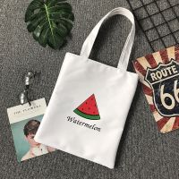 学生男女补习袋儿童手提袋卡通拎书袋初中生补课包斜挎单肩书包 西瓜(白色)