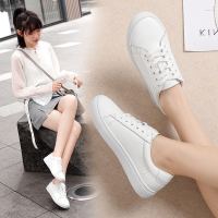 学生加绒保暖小白鞋女秋最新款板鞋百搭贝壳头透气运动街拍休闲鞋 白色 35