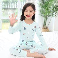 儿童纯棉内衣套装女童中大童小女孩宝宝莱卡棉毛衫秋衣秋裤打底冬 6616小精灵浅绿 110 码建议身高96-104cm