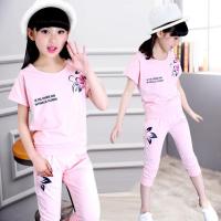 女童夏装套装2020新款大童女装短袖T恤裤子两件套儿童女套装 夏款梅花粉色 110 码建议身高100cm