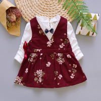 童装女童2019年女宝宝长袖连衣裙套装0-1-2-3岁婴幼儿公主裙春秋 深红色碎花两件套裙 参考身高73CM