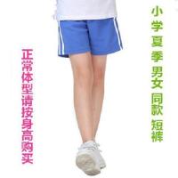 新品深圳市校服小学生夏秋冬装运动男女套装夏季短袖上衣短长薄裤 短裤(男女统一) 130cm