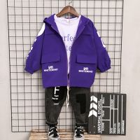 童装男童外套春秋2019新款风衣小男孩夹克儿童洋气中大童韩版休闲 紫色 [高品质外套] 120 码 建议身高110-11