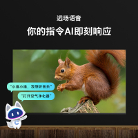 创维(SKYWORTH)55A3 Pro 55英寸远场声控 护眼防蓝光 一键投屏 2+8GB内存平板电视