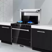 亿田(entive) 集成灶 家用一体灶 17.5超强吸力 国家一级能效 D6GX 集成灶消毒柜 D6GX 液化气
