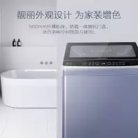 容声 波轮洗衣机全自动 12KG超大容量 自编程随心洗 预约洗 一键智洗 桶风干 XQB120-L206 [纯净节能]