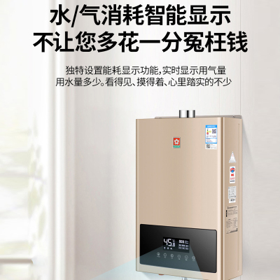 樱花新品TSY503A恒温燃气热水器13L家用天然气厨房洗澡防冻强排式 流沙金 天然气