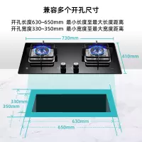 樱花煤气灶TGA01燃气灶具家用嵌入式天然气炉灶液化气猛火双灶台 黑色 天然气