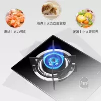 樱花燃气灶家用嵌入式炉灶天然气灶液化气灶台式BGA1T煤气单个灶 黑色 液化气
