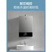 樱花燃气热水器家用天然气13升16升恒温强排式十大品牌排名 灰色 天然气