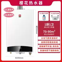 樱花燃气热水器家用天然气A103强排式恒温12L/13/16升煤气液化气 高光白 天然气