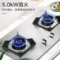 樱花(SAKURA)不锈钢燃气灶大尺寸多开孔天然气灶煤气灶双灶液化气台嵌两用一级能效猛火灶 GBG01[5.0KW大火力