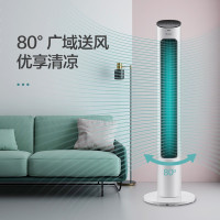 格力(GREE)遥控电风扇节能风扇家用低噪塔式电扇高颜值塔扇风扇 柔风轻音遥控款(白+黑) 柔风塔扇