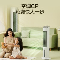 美的(Midea)空调扇制冷风扇制冷风机家用水冷塔扇办公室客厅卧室移动小空调单冷风扇 AAF10MA [强劲冷风 节能省