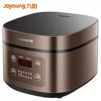 九阳(Joyoung)电饭煲电饭锅4L微电脑式智能预约饭煲多功能小米粥家用煮饭锅2-6人可用 4L饭煲 铜匠厚釜 颜值担