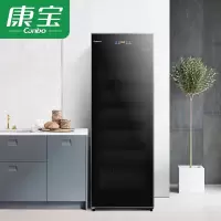 康宝 Canbo ZTP380X-J1消毒柜 330L 厨房商用立式餐具食具臭氧消毒碗柜