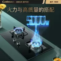 康宝(Canbo)燃气灶天然气双灶 煤气炉具 嵌入式家用灶台 5.0大火力猛火灶具 [4.5-5.0kw]免费安装 天然