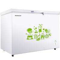 [囤货无忧]容声309L冷柜冰柜商用家用单温大容量节能卧式冰箱 白色