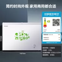 容声230升冰柜家用小型冷柜冷藏保鲜冷冻两用大容量商用囤货冰箱 珍珠白