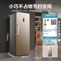 容声(Ronshen) 165升立式冰柜 一级能效风冷无霜净味 母乳冷藏冷冻抽屉式冷柜小冰箱 252升[风冷无霜]电