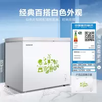 容声(Ronshen) 210升大容量冰柜家用商用冷藏冷冻双温冷柜 一级能效 独立双温 卧式厨房冰箱 208升[抗菌双温
