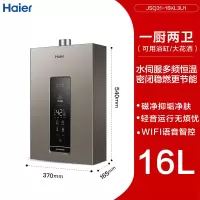 海尔燃气热水器天然气家用洗澡水伺服13L16升密闭稳燃舱 钛金灰16L 天然气