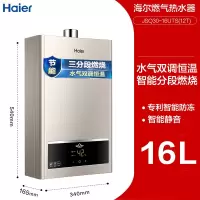 海尔(Haier)燃气热水器天然气即热双算法变频恒温家用速热五重过滤净化强排式热水器ECO一键节能 灰色 16升 天然气