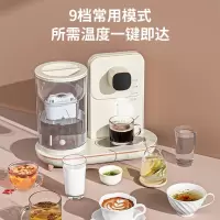 美菱(MeiLing)即热式饮水机台式家用饮水机小型桌面冲泡速热直饮机 [9档控温]