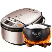 苏泊尔(SUPOR)电饭煲 电饭锅球釜4升家用3-4人做小米柴火饭智能预约 拉丝金属外壳 [王源代言]家用电锅